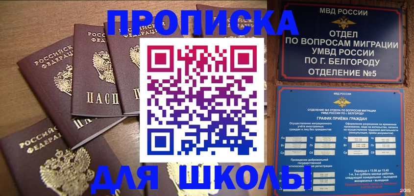 прописка гарантия в Волоколамске